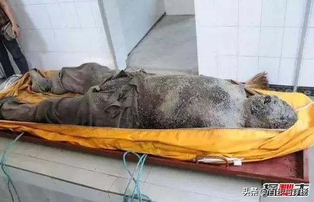 火葬场图片:死人进火化炉的时候听说会有叫声是真的吗？