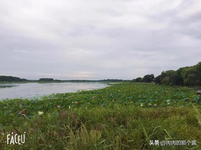 没有狗活不下去本子:一个人没有活下去的欲望了怎么办？