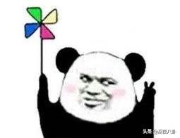 以家人之名结局:《以家人之名》中的陈婷是一个什么样的角色？