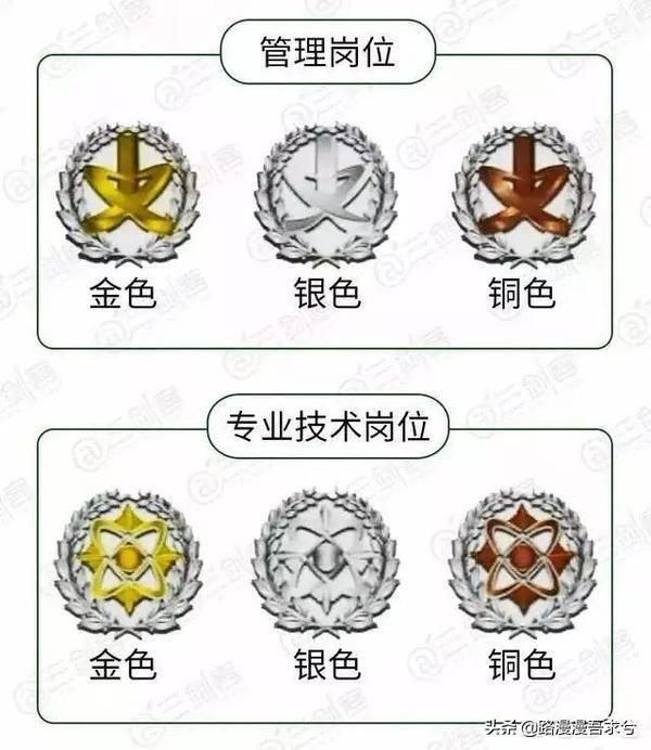 部队士官转文职好还是继续留队好？