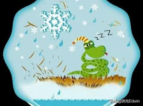 近期关于蛇的新闻:蛇是冷血动物，冬天的雪地里有蛇出没正常吗？如何解释？
