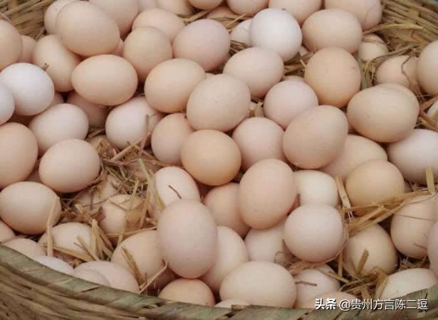 母鸡第一次下的蛋（初蛋）卖10元/个,有特殊的营养价值吗？