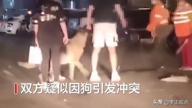 东莞环卫工人带宠物鸭扫大街:为什么有些环卫工都不愿继续做下去了？他们的工作辛苦吗？