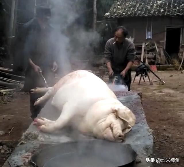 猫脸老太太事件真相:“诈尸”是真实存在的吗？