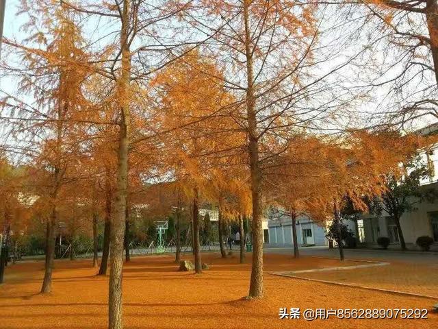 单身女生微信名简单优雅的:单身的年轻女孩，在<a href=https://maguai.com/list/54-0-0.html target=_blank class=infotextkey><a href=https://maguai.com/list/54-0-0.html target=_blank class=infotextkey>休闲</a></a>的时光，适合读什么书才好？