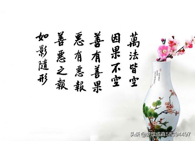 掏心掏肺的对待一个人，结果换来了什么呢(人心换不到人心的句子)