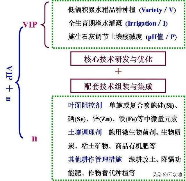 头条问答 以前种水稻农田里要撒石灰粉 为什么现在没有人用 努力吧小田的回答 0赞