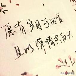 怎样理解\