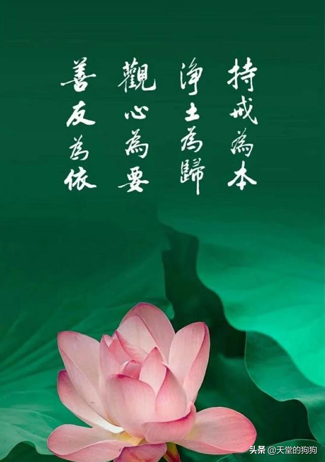 金宇彬申敏儿约会照:金宇彬的鼻咽癌是不治之症吗？有康复的可能吗？