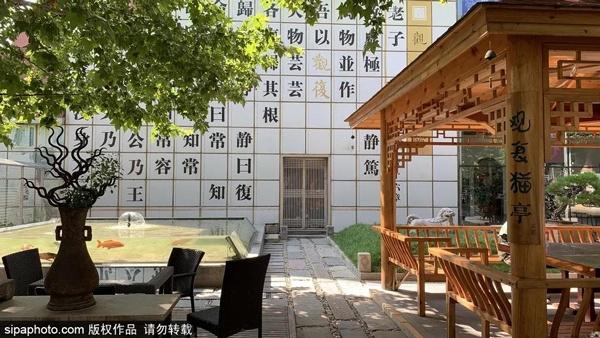 林兰芷:一千多种岩茶挑花了眼，初尝岩茶应该如何选择