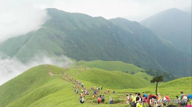 国庆节去哪里旅游好(国庆节去哪里旅游好玩又便宜)