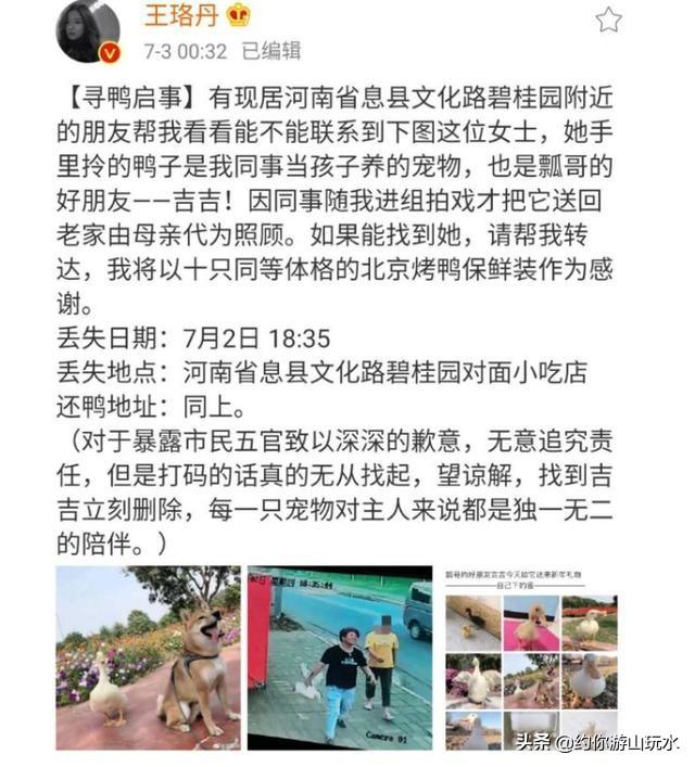 带宠物鸭扫大街萌坏路人:王珞丹发文寻鸭事件：你看到了哪些本质的东西？