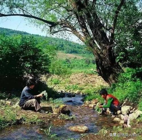 厌倦了灯红酒绿的生活，在灯红酒绿的城市生活久了，你还愿意回到农村吗