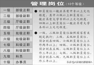 带你看看我们引进的saluki:事业单位管理岗各个学历怎样定级？