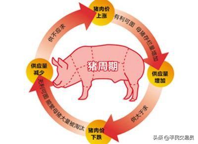 2020年下半年,投资养猪场,还来得及吗？