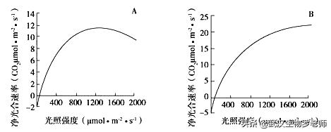 光能净百科:遛完狗，狗的脚太脏怎么办？ 光能净防护液