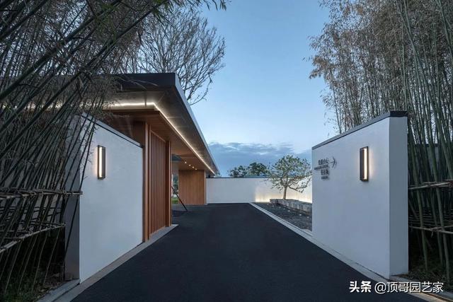 元宝枫图片:元宝枫图片大图 如何打造一个适合北方气候的庭院花园？