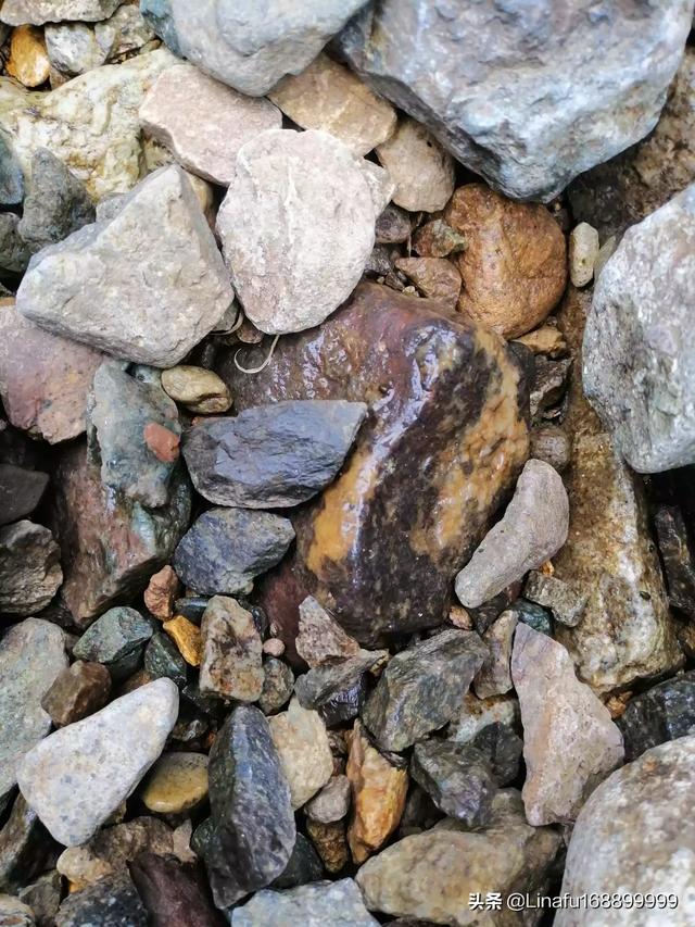 富康陨石:新落地陨石和古老陨石价值相同吗