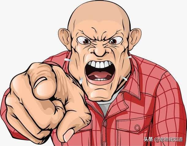 踢狗游戏大厅下载:经常打狗狗会有哪些后果？