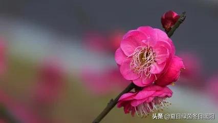 李谷一的孩子:一个离了婚50岁的女人，如何面对以后的生活？