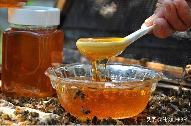 蜂蜜怎么喝才能养胃，蜂蜜对肺部好吗蜂蜜怎么吃养肺