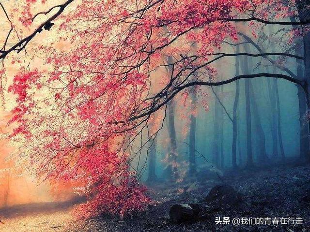 凝视郑东河:郑州周边五一期间有哪些适合儿童玩的景点