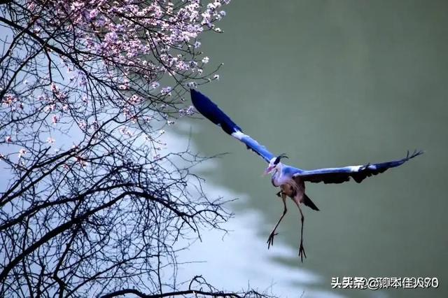 如何以《家》为题,看图作一首诗？