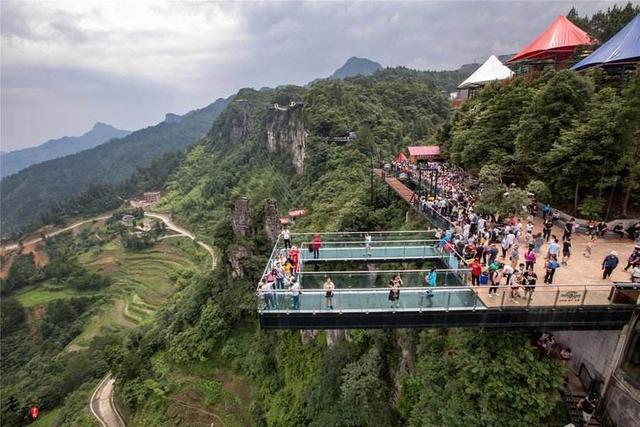 奇趣大自然 狗语者:去重庆旅游，有哪些网红景点是一定要去打卡的？