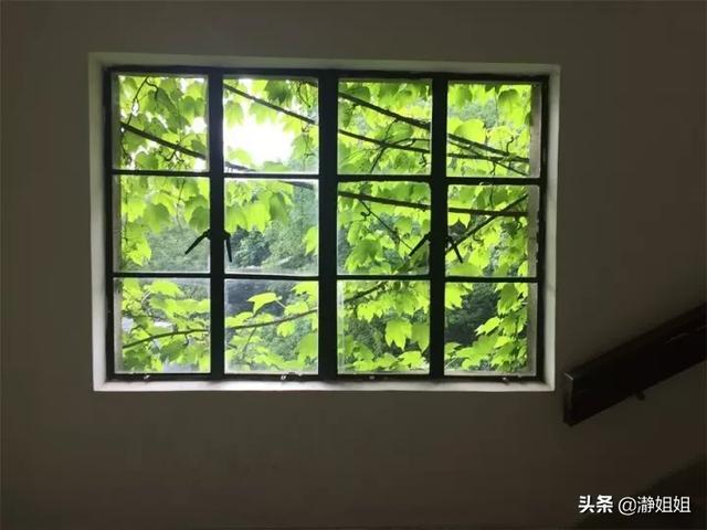 武大蝶楼灵异事件:武汉大学有哪些不为人知的有趣的地方？