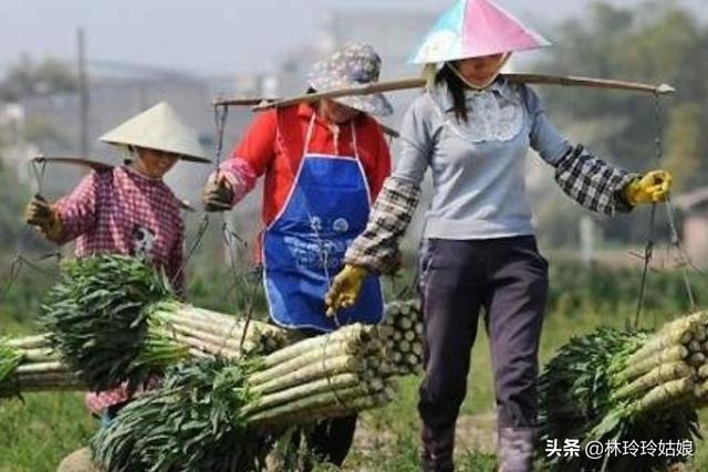 留守妇女与狗视频:农村30到40岁的留守妇女最需要的是什么？ 留守大爷偷狗视频