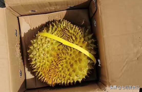 榴莲金菠萝图片:榴莲这么贵，为什么不自己种？