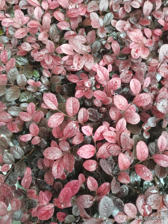 一个人总活在自己的世界里,是不是很悲哀？