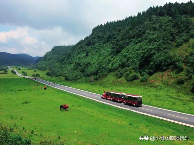 十一旅游去哪里(十一旅游去哪里最合适国内)