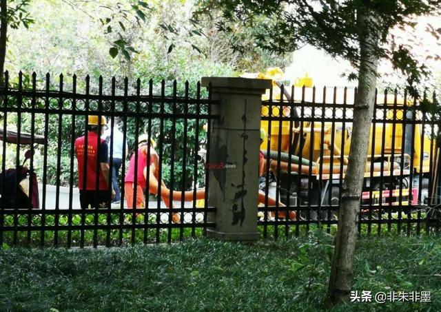 宠物狗尸体埋小区引热议:宠物狗掉进污水井，男子救狗身亡的事件，为什么要支持浙江女子？