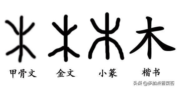 木字旁的字有哪些一年级小学生？:杏部首 第1张