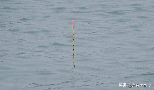 钓鱼野钓用双钩好还是单钩好？