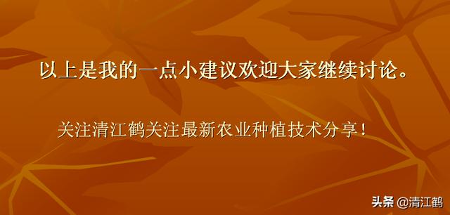 果实软腐病:引起果实软腐病的病菌 辣椒夏季大量烂果怎么回事？