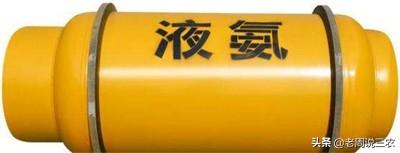 一条反刍的狗 下载:狗明明鼻子那么灵，为什么翻垃圾或者吃粑粑不会觉得受不了？