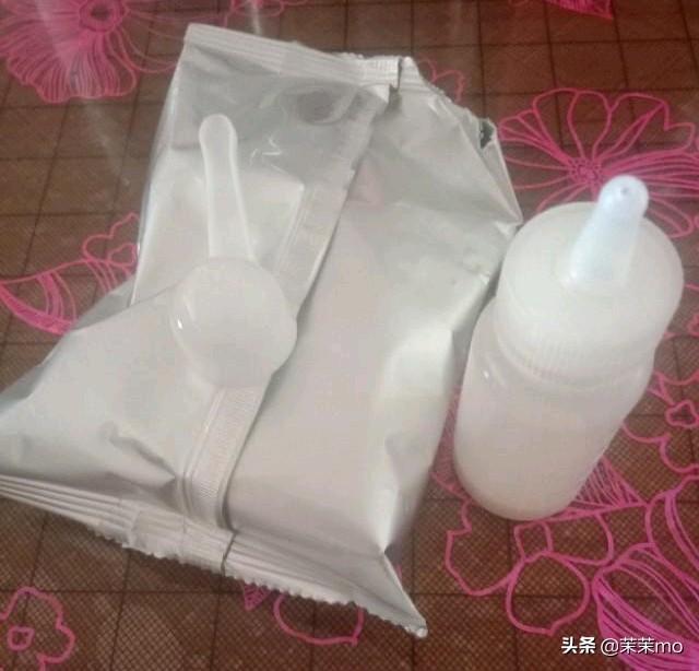 猫图片大全:养田园猫，你愿意花钱吗？