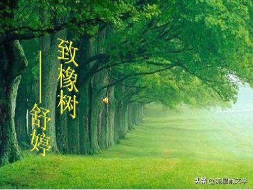 《致橡树》是如何成为“国民”爱情诗的？