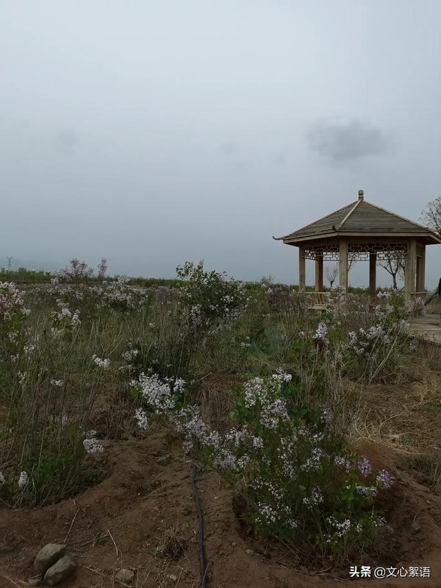2020年五一假期,能否晒晒你的旅游经历呢？