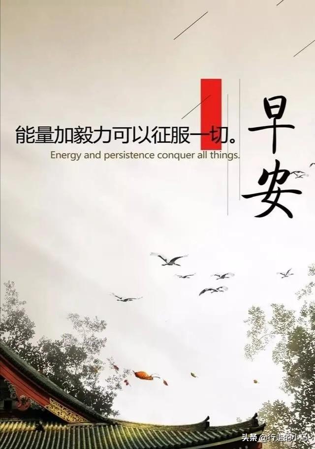 俞飞鸿结婚了吗:40来岁了，从来都没有想过要结婚，正常吗？