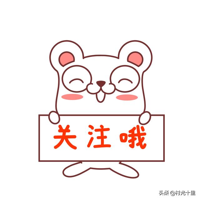 紫色八爪金盘:不同颜色的机械硬盘有什么区别呢？