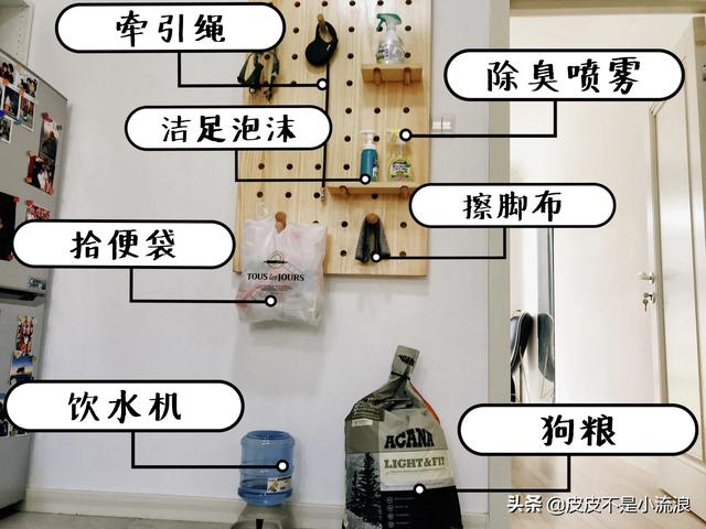 嘉兴狗舍:养狗之后，家里要留出哪些空间位置给它？