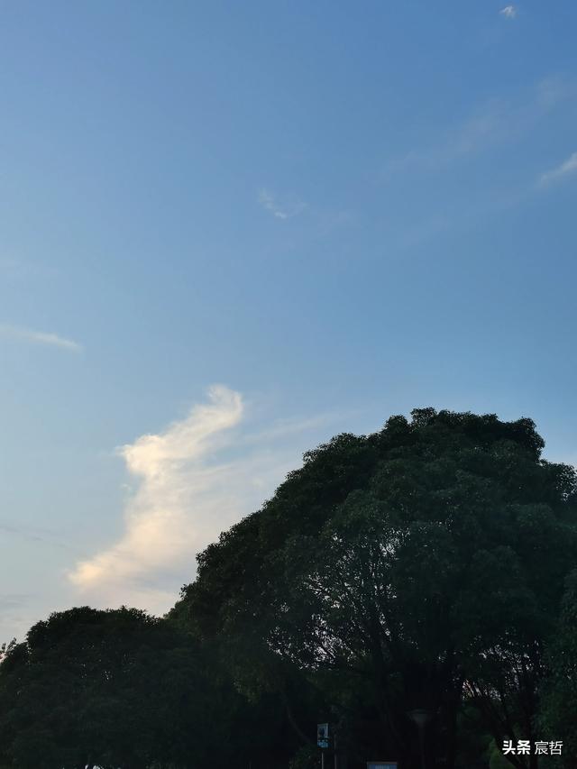 米读灵异事件:灵异悬疑小说真的没落了吗？