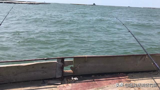 霸王刺皮鱼钓鱼熟练:霸王刺皮鱼在哪里钓 为什么有的钓鱼老手不喜欢用倒刺钩，而一些新手基本都用？