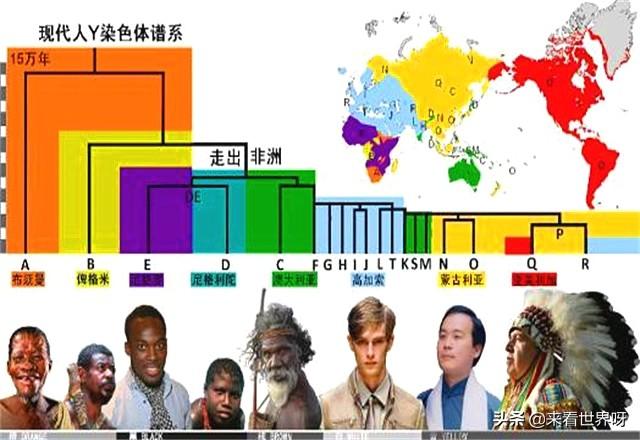 马鹿洞人:北京山顶洞人、元谋人或者蓝田人是不是中国人的祖先？为什么？