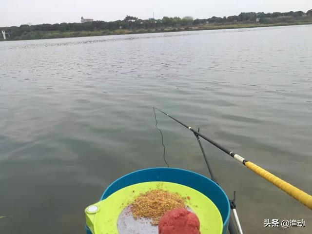 钓鱼鱼饵料配方视频:钓鲫鱼饵料配方，钓鲫鱼好用的饵料有哪些？