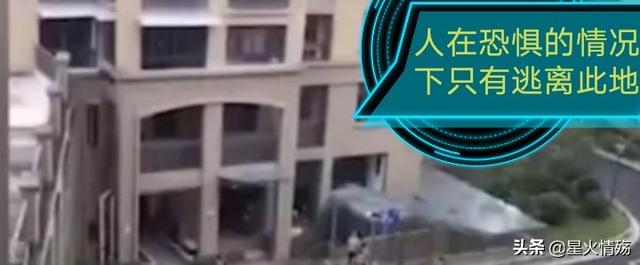 杭州寻狗悠悠找到了吗:你们认为那个杭州53岁失踪的阿姨是死了还是活着？