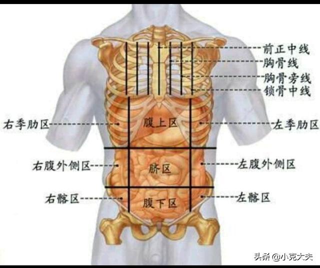 头条问答 关于胸痛的常识有哪些 小陈大夫的回答 0赞